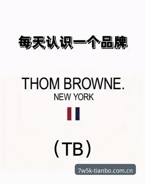 TB品牌叙事新篇登录攻略：自主下载vs直接访问，哪个更适合你？